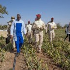 Agriculture Offensive – The Head of State visits pineapple fields in Camp Naba-Koom 2